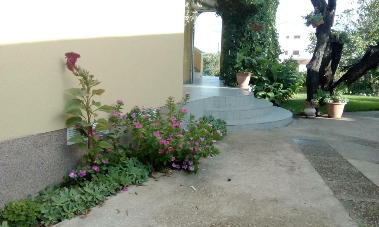 Apartments Meri Vodice Extérieur photo